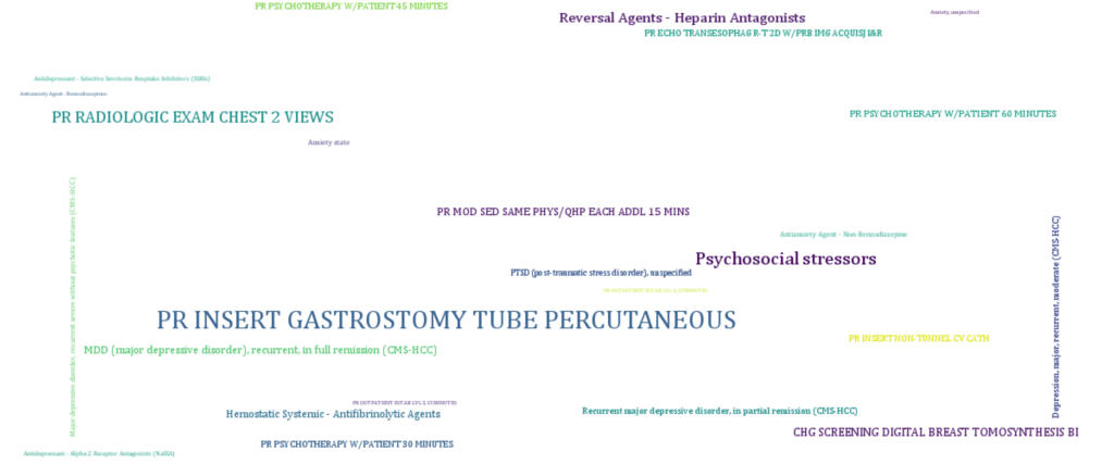 Word cloud of terms predictive of panic disorder from historical claims data